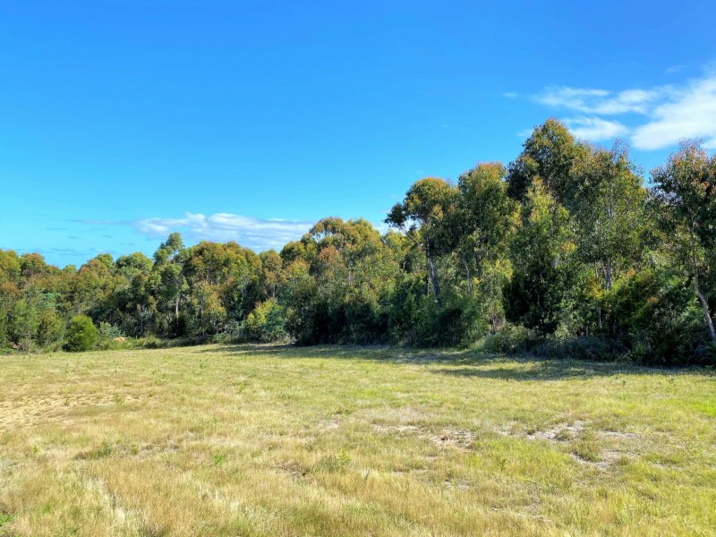 Lot 2/27 Cherrywood Drive, Scamander TAS 7215