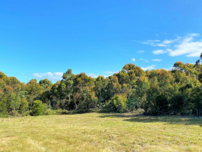 Lot 2/27 Cherrywood Drive, Scamander TAS 7215