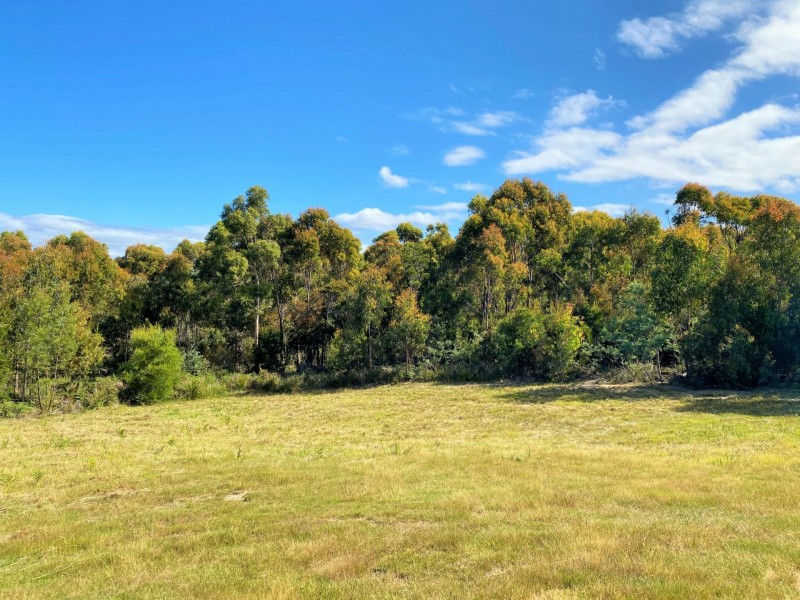 Lot 2/27 Cherrywood Drive, Scamander TAS 7215