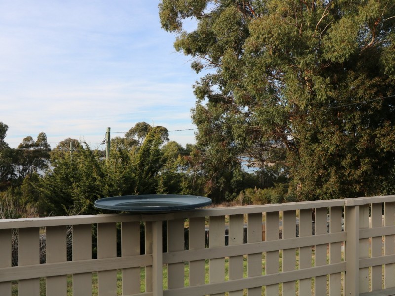 23245 Tasman Highway, Scamander TAS 7215