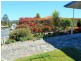 21 Telemon Street, St Helens TAS 7216