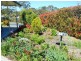 21 Telemon Street, St Helens TAS 7216