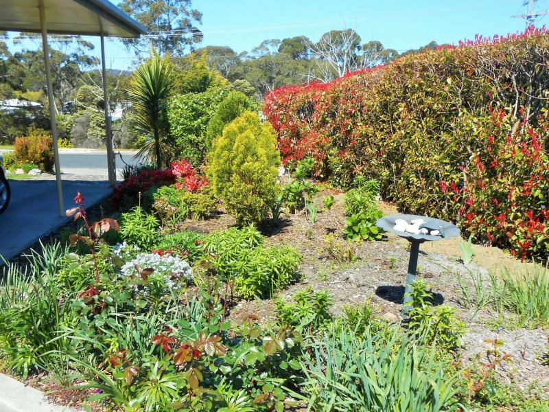 21 Telemon Street, St Helens TAS 7216
