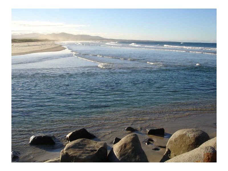 1/3 Howitt Street, Falmouth TAS 7215