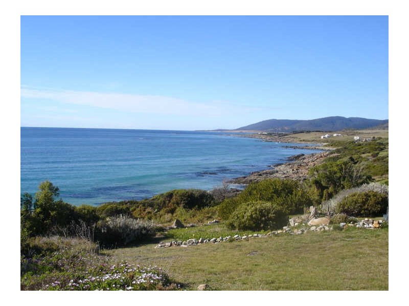 1/3 Howitt Street, Falmouth TAS 7215