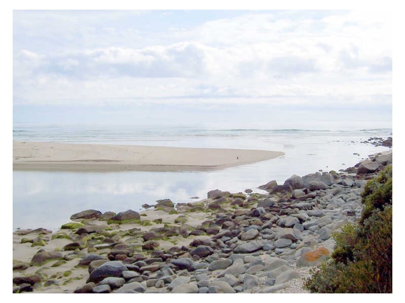 1/3 Howitt Street, Falmouth TAS 7215