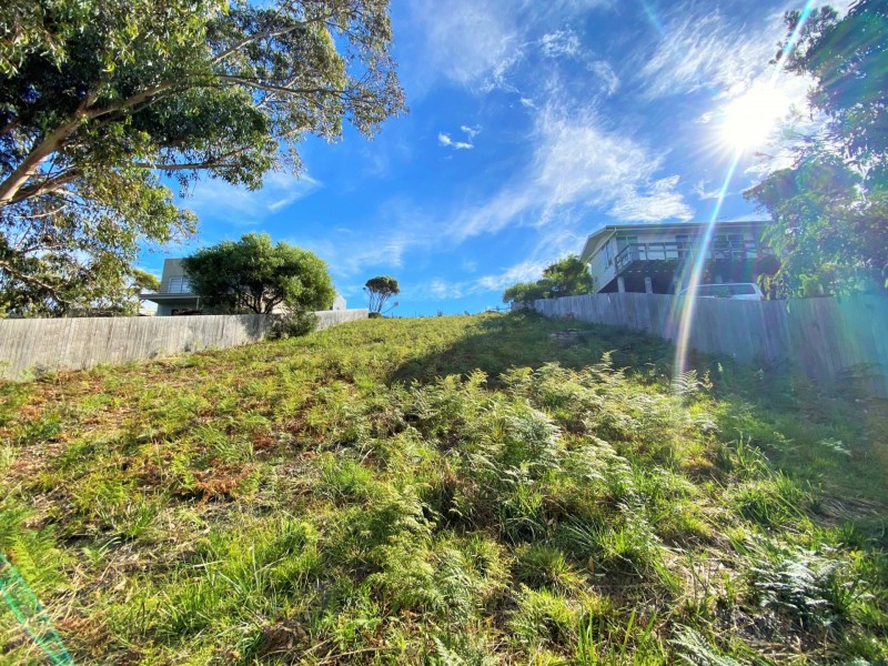 24303 Tasman Highway, St Helens TAS 7216