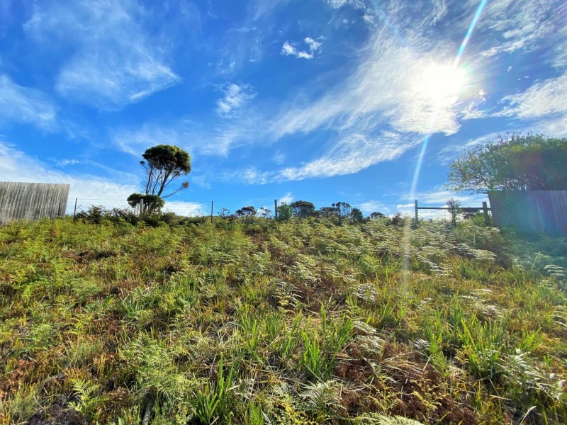 24303 Tasman Highway, St Helens TAS 7216