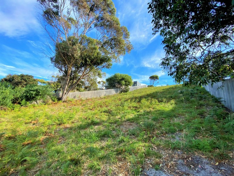 24303 Tasman Highway, St Helens TAS 7216
