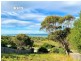 24303 Tasman Highway, St Helens TAS 7216
