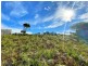 24303 Tasman Highway, St Helens TAS 7216