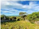 24303 Tasman Highway, St Helens TAS 7216