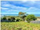 24303 Tasman Highway, St Helens TAS 7216