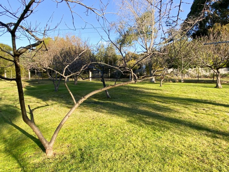 14-20 Poseidon Street, St Helens TAS 7216