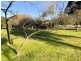 14-20 Poseidon Street, St Helens TAS 7216