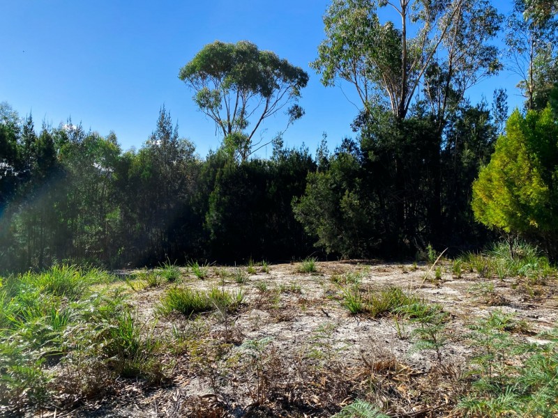 76 Upper Scamander Road, Scamander TAS 7215