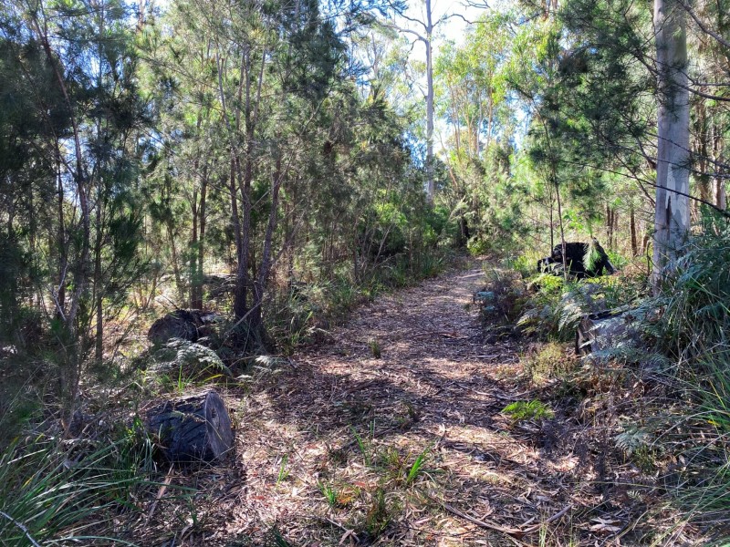 76 Upper Scamander Road, Scamander TAS 7215