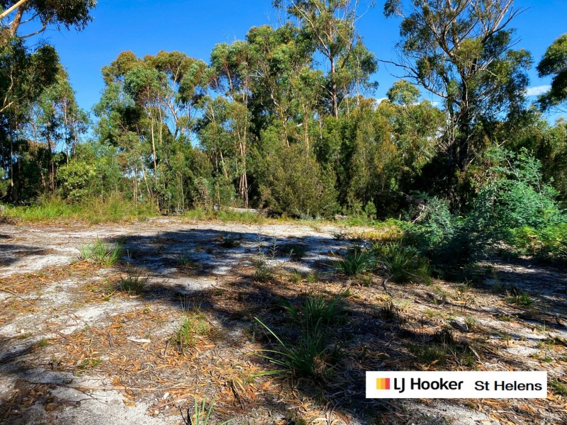 76 Upper Scamander Road, Scamander TAS 7215