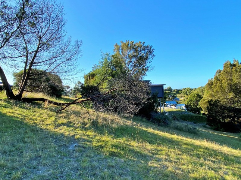 13 Bayvista Rise, St Helens TAS 7216