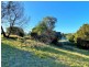 13 Bayvista Rise, St Helens TAS 7216
