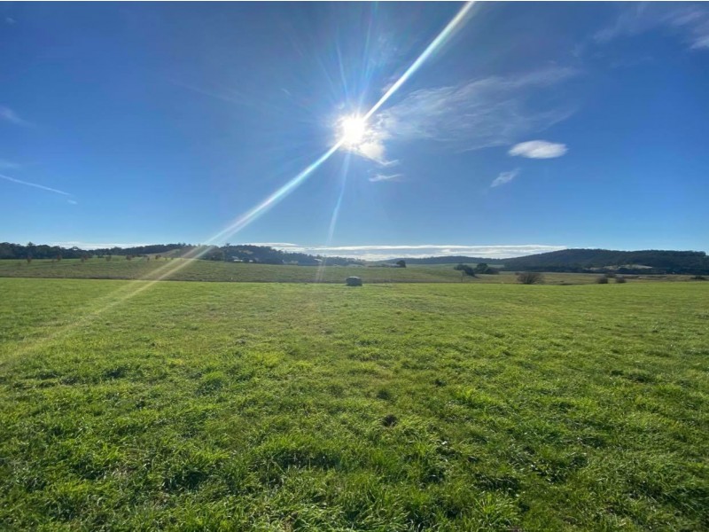 Lot 47/38 Annie Street, St Helens TAS 7216