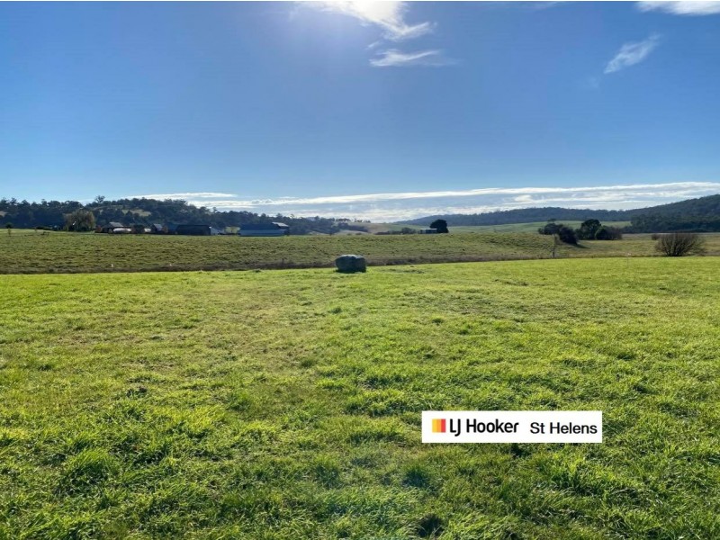 Lot 47/38 Annie Street, St Helens TAS 7216