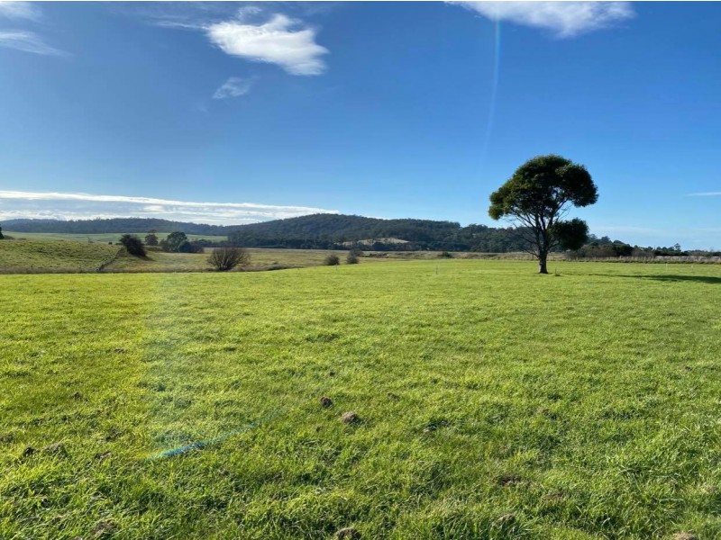 Lot 48/38 Annie Street, St Helens TAS 7216