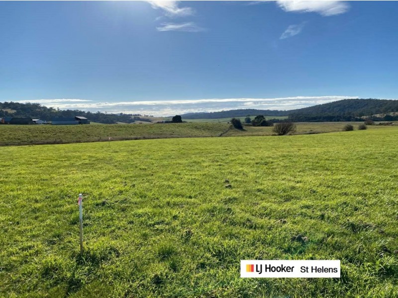 Lot 48/38 Annie Street, St Helens TAS 7216