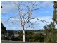 66A Medeas Cove Esplanade, St Helens TAS 7216
