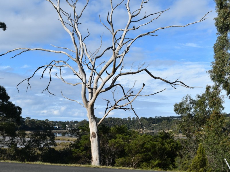 66A Medeas Cove Esplanade, St Helens TAS 7216