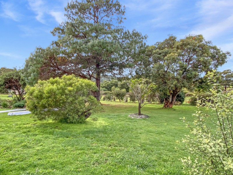 25582 Tasman Highway, St Helens TAS 7216
