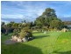 25582 Tasman Highway, St Helens TAS 7216