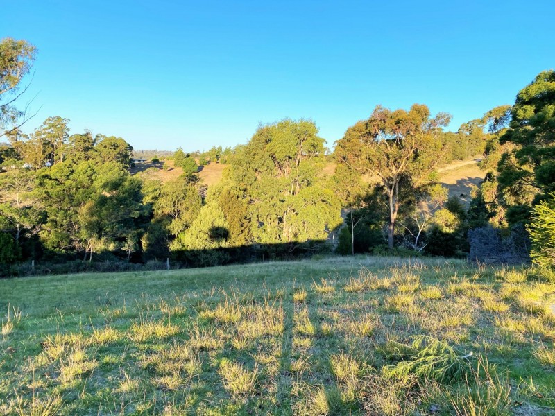 17 Bayvista Rise, St Helens TAS 7216