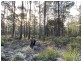 449 Elephant Pass Road, Gray TAS 7215