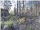 449 Elephant Pass Road, Gray TAS 7215