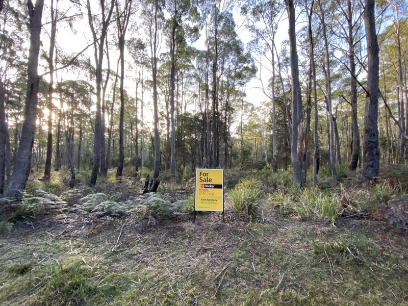 449 Elephant Pass Road, Gray TAS 7215