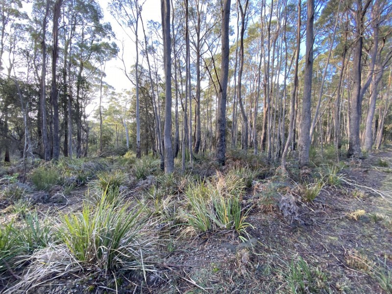 449 Elephant Pass Road, Gray TAS 7215