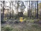 449 Elephant Pass Road, Gray TAS 7215