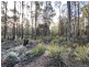 449 Elephant Pass Road, Gray TAS 7215