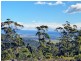 76 Dalmayne Road, Gray TAS 7215