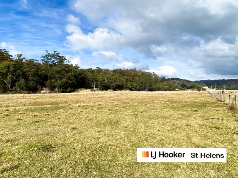 259a Medeas Cove Road, St Helens TAS 7216
