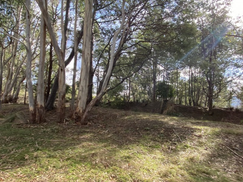 259a Medeas Cove Road, St Helens TAS 7216