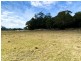 259a Medeas Cove Road, St Helens TAS 7216