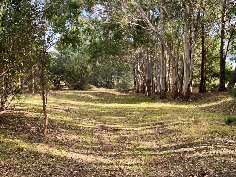 259a Medeas Cove Road, St Helens TAS 7216