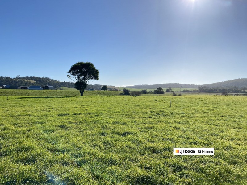 Lot 38/38 Annie Street, St Helens TAS 7216