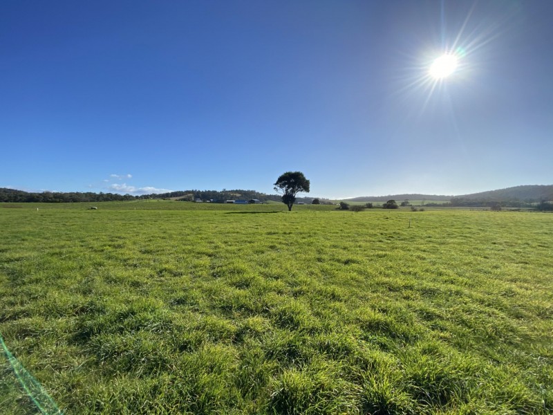 Lot 34/38 Annie Street, St Helens TAS 7216