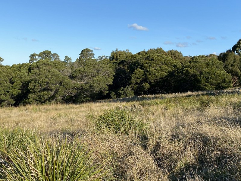 Lot 10a/59 Lawry Heights, St Helens TAS 7216