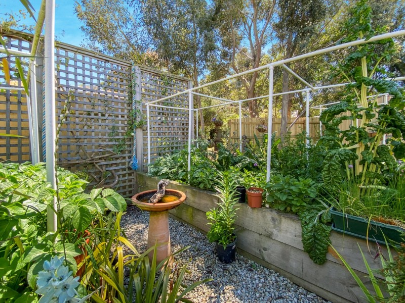 7 New Street, Falmouth TAS 7215