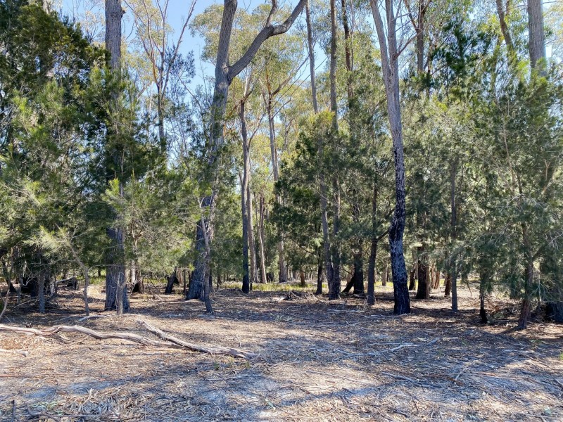 11 West Street, St Helens TAS 7216