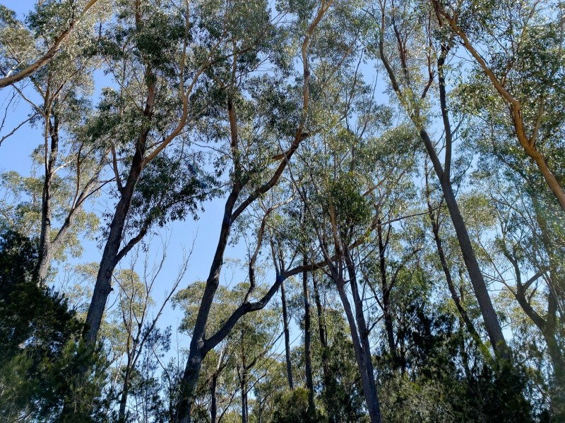 11 West Street, St Helens TAS 7216